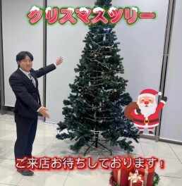 クリスマスツリー飾ってます！