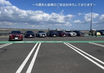 今週末スズキにどうですか？
