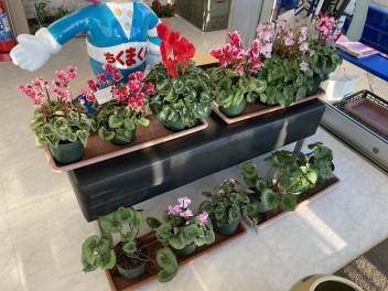 ありがとうございます！