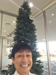☆クリスマスツリー飾ってみた☆