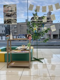 もうすぐ七夕！