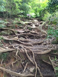 営業佐藤が登山行きました！