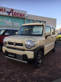 新型ハスラー登場！！！！