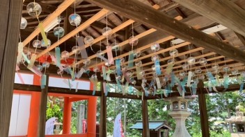 ６月スタートです！
