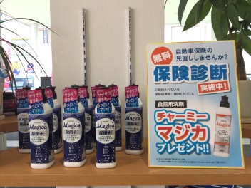 知らなきゃ損かも？任意保険のお話です