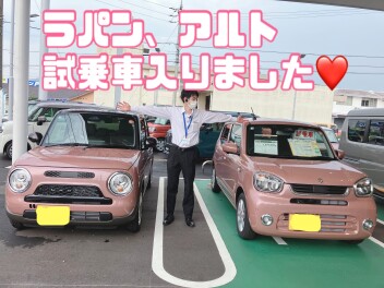 試乗車たくさんありますよ☆彡