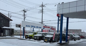 雪が降りました