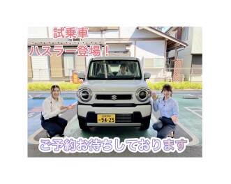 今週末も試乗車勢ぞろい！
