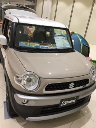 セーフティサポートフェア開催中