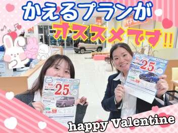 かえるプランがお勧めですよ