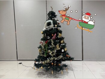 今年も飾りました☆