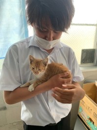 またまた猫ちゃんが( ﾟДﾟ)