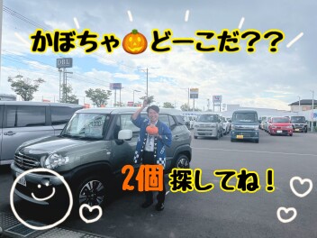 スズキ決算！！迷ってますか？間に合います！
