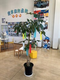 7月7日は七夕
