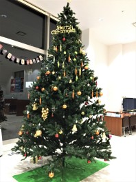 店内クリスマス仕様に☆彡