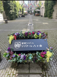 愛車無料点検は、お済みですか？