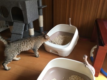 ♪店長の気まぐれ日記（その10）