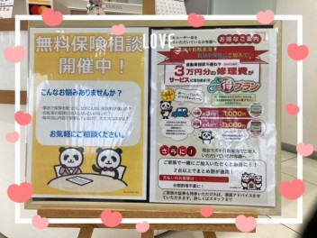 今週末は無料保険相談開催！！