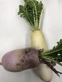 12月、冷え込みも厳しく・・・