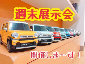 やります！週末展示会！！！