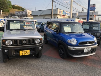 予告！令和初展示会！
