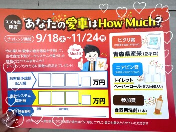 愛車無料点検、ハウマッチキャンペーン今月まで！