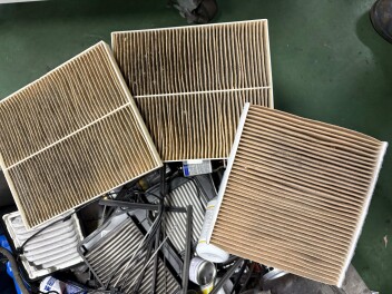 花粉の時期になりつつある