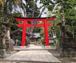 大型連休いかがお過ごしですか
