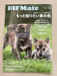 どこもかしこも暑すぎて(;^_^A