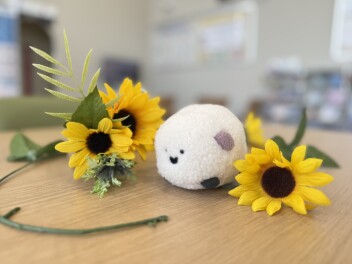 Ｙ様！ちまいるぬいぐるみご購入ありがとうございます！