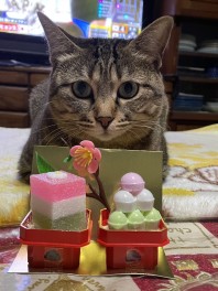 ♪スタッフの気まぐれ日記（その27）