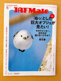 実物が見たい❣