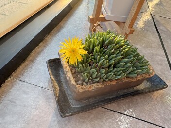 ☆　今週もご来店お待ちしております　☆