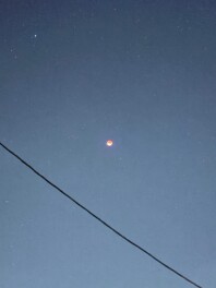 スズキ　大決算！！