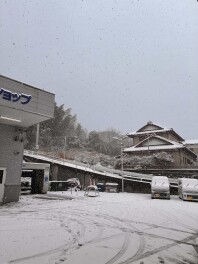 本日雪の為休業いたします