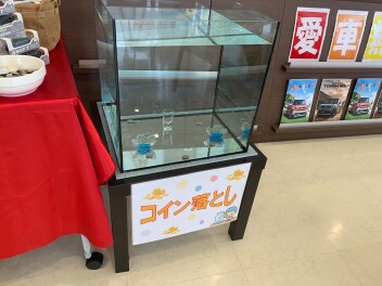 コイン落としのコツ