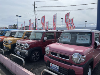 ☆わくわく大決算☆