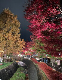 今週は、３日４日が定休日になります