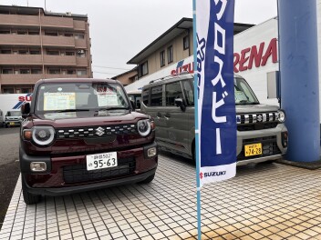 クロスビー誕生フェア実施中です！