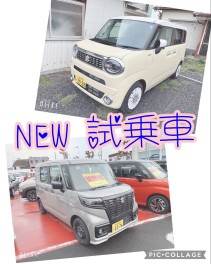 試乗車ラインナップ少し変更しました！