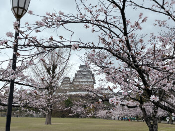 新年度スタート☆
