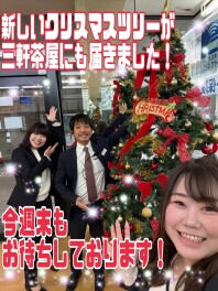 新しいクリスマスツリーが届きました！！！