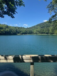 タイヤ特価キャンペーン開始！１１月末まで☆☆