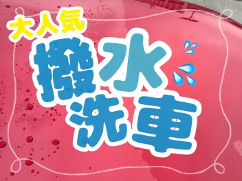 撥水洗車とっても人気ですʕ ´ᴥ` ʔ