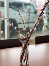 ✿もうすぐ４月ですね✿