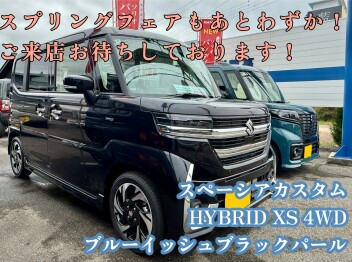 スプリングフェアも終盤！！