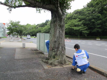 県庁前♪スズキ中古車大商談会7月26日（土）～7月27日（月）♪