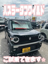 ハスラータフワイルド　ご試乗できます☆