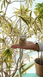 スズキ×エステー共同開発商品☆