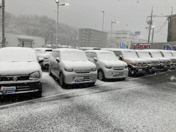 山口市内　雪が積もりました！！！